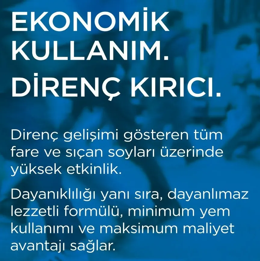 Klerat Mumblok broşür sayfası
